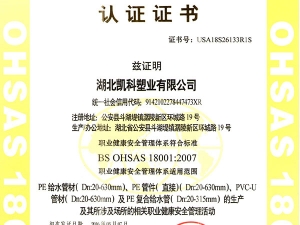 職業健康安全管理體系
